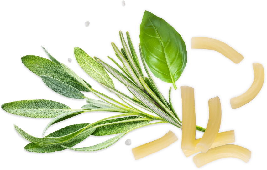 rigatoni-ingredients